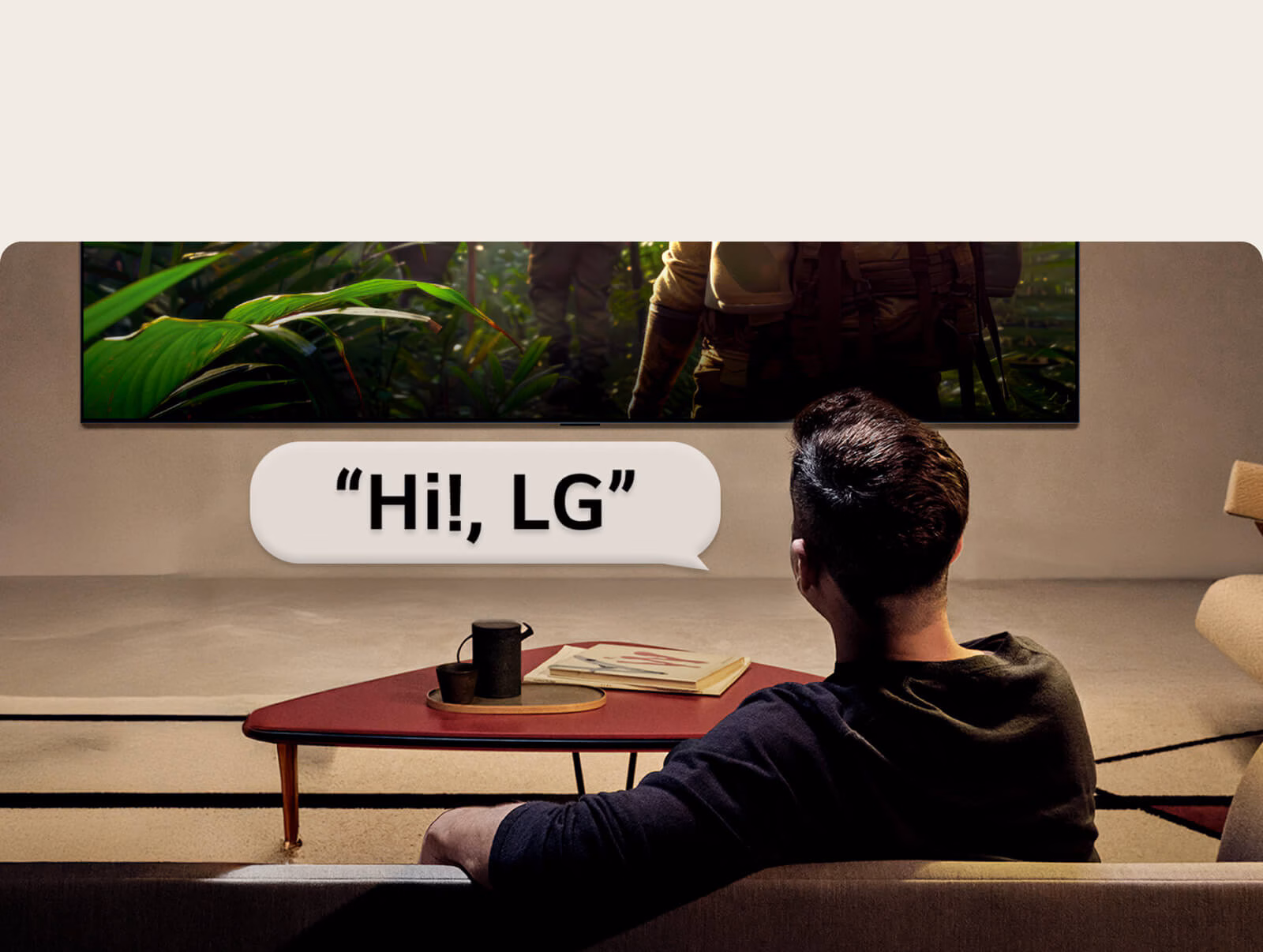 OLED65B6SSA — LG OLED65B6SSA product photograph